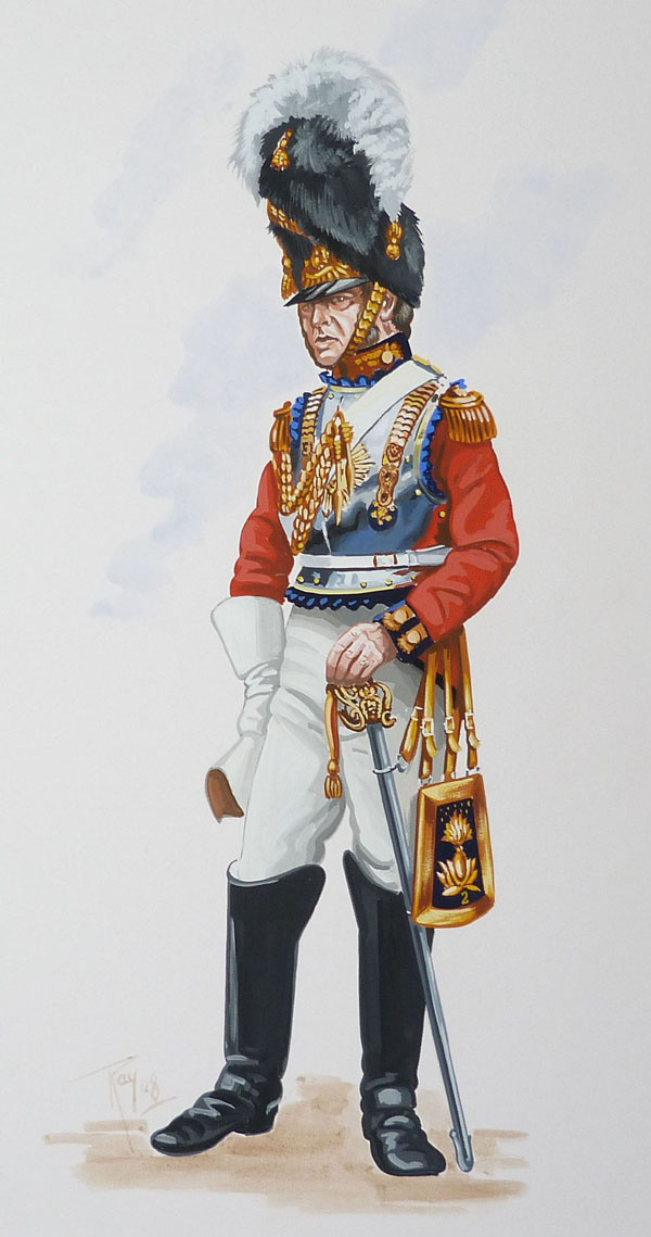 British; 2nd Lifeguards, Officer, 1822 by Ray FitzPatrick | British ...